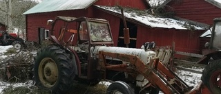 Träd välte över tjurens vindskydd – och ägarens traktor: "Mycket att göra"