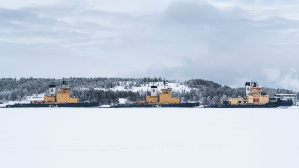 Isbrytarna Atle, Frej och Oden i hamnen i Luleå. Arkivbild.