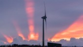 Oväder hjälpte vindkraften till nytt elrekord
