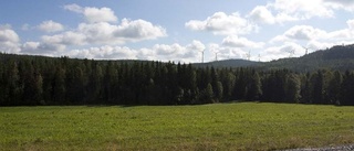 Ny vindkraftpark uppförs i samarbete med Skellefteå Kraft  