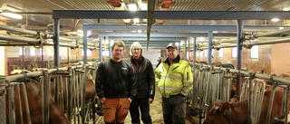 Generationsskifte i Nystrand – lägger ner mjölkproduktionen: "Har pratat om det sen jag blev myndig"