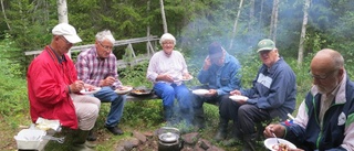 Ängens dag vid Bjurbäcken