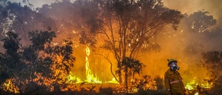 Kamp mot både bränder och regn i Australien