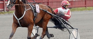 Dusty Wind bäst i långa loppet