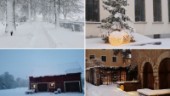 Se bilder från ett härligt vintergnistrande Gotland