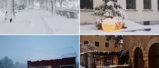 Se bilder från ett härligt vintergnistrande Gotland