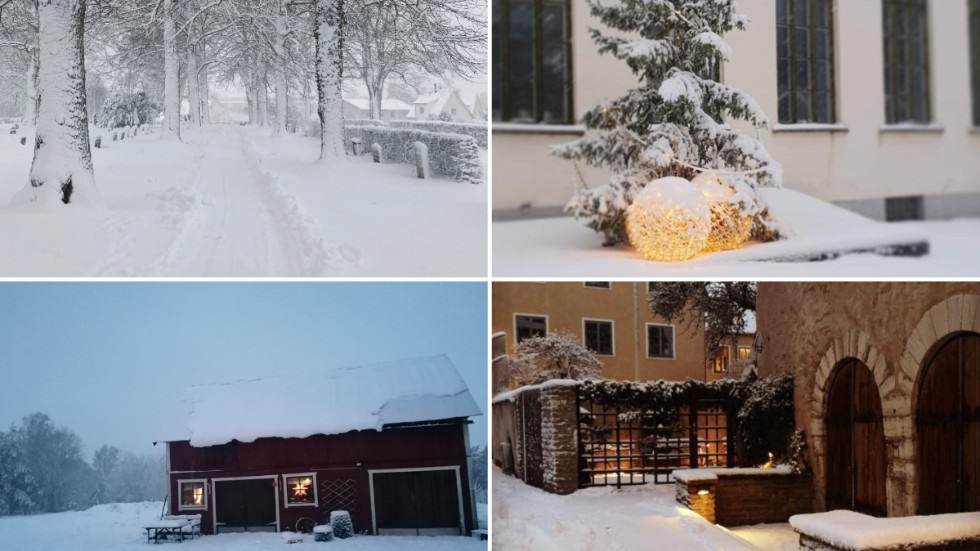 Många härliga vinterbilder har tagits på Gotland i dag. 