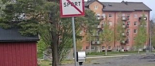 Konstresa till Umedalens skulpturpark