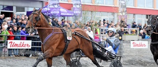 Umåkers nye sportchef testar nya grepp