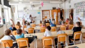 Små reformer i väntan på de stora