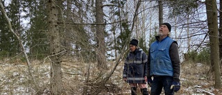 Skogsägarna Carina och Anders tvingas tänka nytt – skadad skog blir till motionsspår och utegym