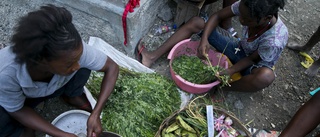 Haitisk soppa upp på världsarvslista