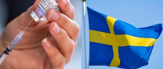 Alla som bor i Sverige har ett ansvar för Sverige