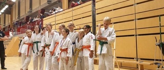 Norrköpings Judoklubb fyra totalt i Stockholm