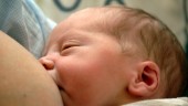 Varningen: Massuppsägningar på förlossningen kan sprida sig – redan brist på barnmorskor i Sörmland