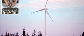 Länsstyrelsen vill att vindkraftskommuner får ersättning: ”Ska kunna erbjuda medborgare grundläggande service”