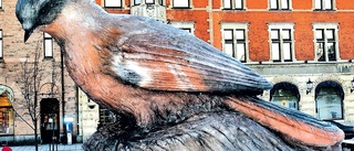 Tjeckisk monsterfågel snart på väg till Luleå