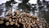 Sverige måste leva upp till miljömålen