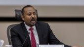 Minst 210 dödade i attacker i Etiopien