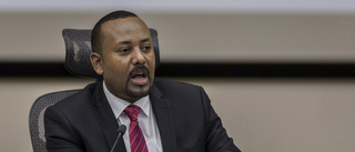 Minst 210 dödade i attacker i Etiopien