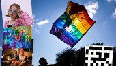 Missa inte: Här är guiden till helgens Luleå Pride 