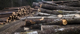 Så stor del förväntas skogsägare spara utan ersättning • Enskilda skogsägare i kläm i väntan på praxis