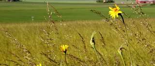 Östergötland är ett jordbrukslän