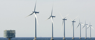 Därför dröjer svensk vindkraft till havs