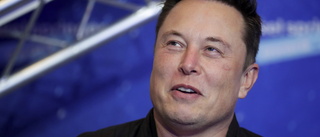 Musk vill skjuta upp Twitter-rättegång