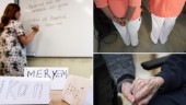 S sätter politisk korrekthet före patienternas säkerhet