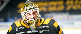 Trots KHL-intresse – han stannar i Skellefteå