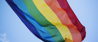 JO kritiserar viftning av prideflagga på skola