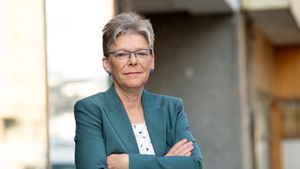 Gudrun Persson, forskningsledare vid Totalförsvarets forskningsinstitut, konstaterar att det är omöjligt att kontrollera hela branschen. Arkivbild.