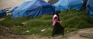 Belgien hämtar IS-kvinnor och barn från läger