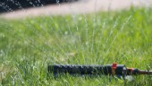 Ingen vattenbrist i länet trots värmen: "Kan förändras"