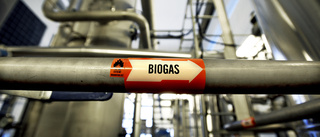 Vill lägga ner Lucernas biogasproduktion: "Hyfsat eniga"