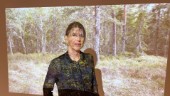 Hon sätter Hållnäs på kulturkartan • Tilldelas Region Uppsalas konstnärliga stipendium 