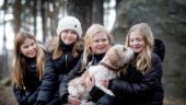Elvaåringar rastar hundar till förmån för Barncancerfonden: "Så det kan forskas mer"