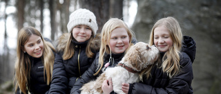 Elvaåringar rastar hundar till förmån för Barncancerfonden: "Så det kan forskas mer"