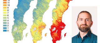 Somrar med långa värmeböljor i framtidens Sörmland: "Värre ju längre de håller i sig"