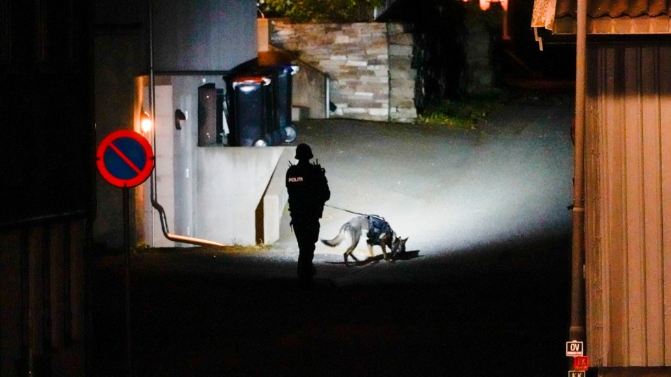 Polisen söker med hund i centrala Kongsberg.