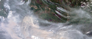 Brandröken från Sibirien har nått nordpolen