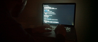 16-åring pekas ut som häcklande hackare