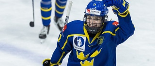 Ishockeylandslaget i Uppsala – OS-satsning inleds