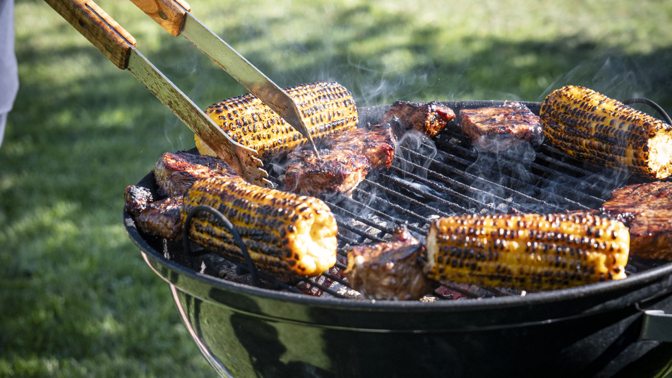 "Köttbiten på grillen, sommarblommorna i blomlådan och virket till trädäcket där boende i Kalmar län njuter av semesterlugnet har alla sitt ursprung i en ladugård, en växtodling eller ett skogsbruk", skriver Annika Bergman, ordförande för Gröna arbetsgivare och 
Lena-Liisa Tengblad, vd för Gröna arbetsgivare. 
