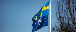 Natomedlemskapet kan ge oss säkerheten tillbaka