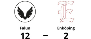 Falun segrade i toppmötet - 12-2 mot Enköping