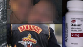 Kärlekspar med Bandidoskoppling misstänkta för narkotikabrott 