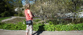 I väntan på magnolian – synskadade Birgitta: "Ta vara på livet"