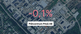 Plåtcentrum Piteå AB: Så såg siffrorna ut 2023